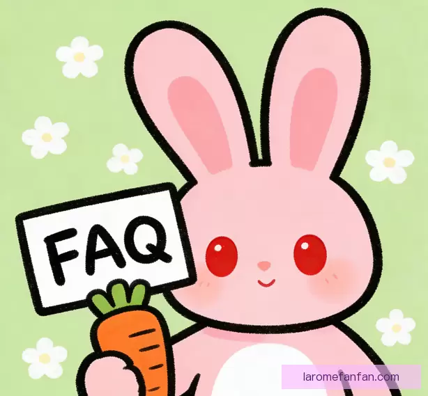 常见问题